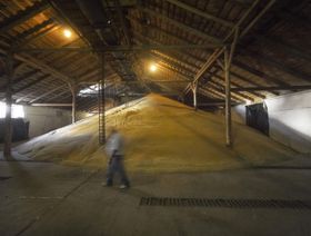 مشترو القمح يبحثون عن بدائل بسبب تداعيات الحرب في \"سلة الخبز العالمية\"