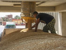 مصر تجري محادثات لشراء مليون طن قمح من روسيا