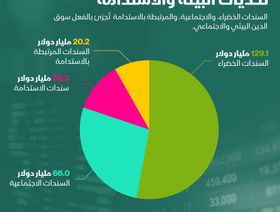 إنفوغراف.. 244 مليار دولار سندات خضراء ولمواجهة الاستدامة منذ بداية 2021