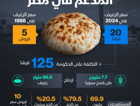 الخبز المدعوم من الحكومة المصرية في أرقام - المصدر: الشرق