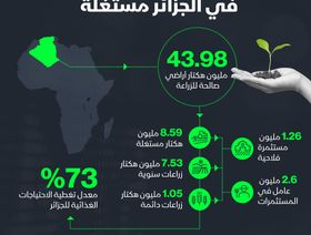 إنفوغراف.. 8.59 مليون هكتار أراضي زراعية مستغلة في الجزائر