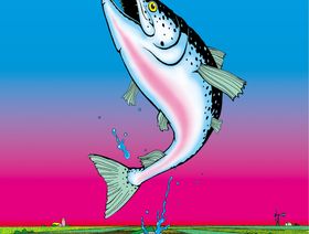مزارع أسماك السلمون على البر، تحاول حل المشاكل البيئية التي تشكلّها شبكات مزارع الأسماك المفتوحة في المحيطات. - المصدر: بلومبرغ