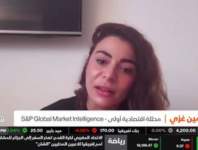 S&P تتوقع مزيداً من الخفض للجنيه المصري مع رفع أسعار الفائدة