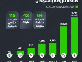 إنفوغراف.. مساحات شاسعة صالحة للزراعة في السودان