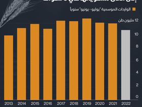 إنفوغراف .. واردات مصر من القمح قد تنخفض لأدنى مستوياتها في عقد