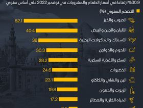 إنفوغراف: كم ارتفعت أسعار غذاء المصريين؟