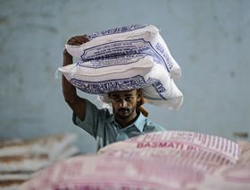 أسعار الأرز تقفز إلى أعلى مستوياتها في 3 أعوام بعد حظر الهند