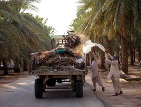 \"فاو\" تعمل مع السعودية على تنمية الزراعة الريفية لـ8 محاصيل