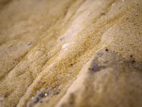 سكر خام - بلومبرغ