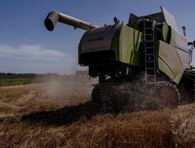 الأرجنتين تدرس تقليص صادرات القمح بضغط الجفاف والطلب المحلي