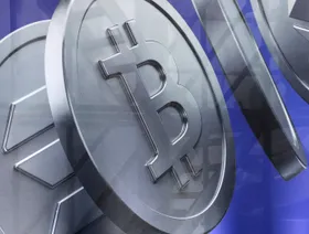 غموض حول من تحمل أكبر خسارة في موجة البيع القياسية للعملات المشفرة