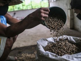 أسعار قهوة \"روبوستا\" تقترب من أعلى مستوياتها منذ 10 سنوات