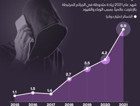 إنفوغراف.. نحو 7 مليارات دولار خسرها العالم من جرائم الإنترنت