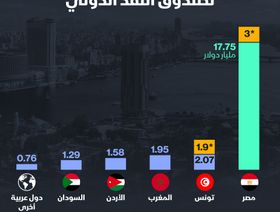 إنفوغراف: مصر أكبر دولة عربية مدينة لصندوق النقد