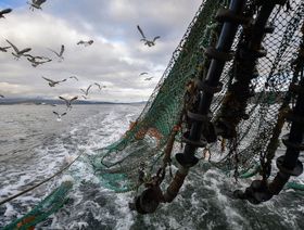 بعد مفاوضات استمرت عقدين.. جهود مواجهة الصيد الجائر تقترب من الحسم