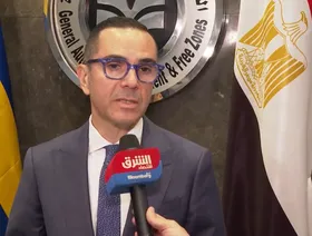 مصر تستهدف جذب استثمارات سويدية بالطاقة المتجددة والتكنولوجيا