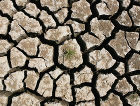 الجفاف يضرب العراق مبرزاً تهديد تغير المناخ للغذاء