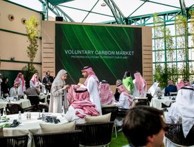 بإشراف سعودي.. أكبر مزاد يبيع 2.2 مليون طن من أرصدة الكربون الطوعية