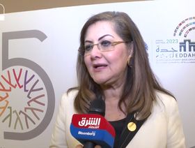 وزيرة التخطيط المصرية: ترسية صفقة \"وطنية\" تستغرق 4 أشهر