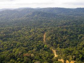 الغابون تخطط لإصدار أكبر سندات سيادية خضراء على الإطلاق في أفريقيا