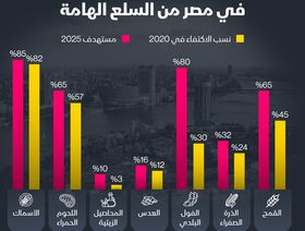 إنفوغراف: مستهدفات الاكتفاء الذاتي من السلع المهمة في مصر