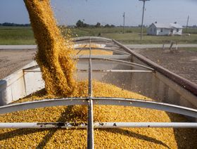 نقل الذرة إلى عربة الحبوب أثناء الحصاد في كروفوردسفيل، ولاية أركنساس الأميركية - بلومبرغ