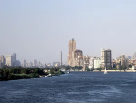 صورة ٦