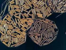 ترمب يفرض رسوماً جمركية على الأخشاب لتعزيز الصناعة الأميركية