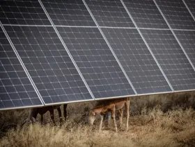 أبوظبي للاستثمار وشريك كندي يدرسان بيع مطور آسيوي للطاقة المتجددة