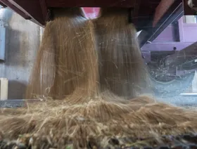 الصين تستأنف شراء القمح الأميركي بعد عام من الانقطاع