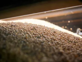 حبوب فول الصويا - المصدر: بلومبرغ