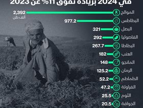 إنفوغراف: صادرات مصر الزراعية تنمو 11% في 2024