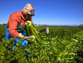 الحوالات المالية إلى أميركا الوسطى تقفز مع تضييق ترمب على المهاجرين