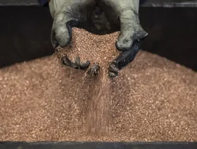 عامل يمسك بحفنة من برادة النحاس جُمعت لصهرها في المسبك. تتجه أسعار النحاس لتحقيق أكبر مكاسب أسبوعية منذ أبريل، مع انخفاض الأسعار بنحو 5% عن مستواها القياسي. - المصدر: بلومبرغ