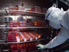 \"فايتوم\" البريطانية تتطلع لتأسيس شركات \"يونيكورن\" صحية في السعودية