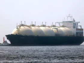 مصر تخصص 9.5 مليار دولار لاستيراد الغاز والوقود بالسنة المالية الجديدة