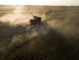 أسعار فول الصويا تعمق خسائرها بعد تهديد ترمب بفرض رسوم على الصين