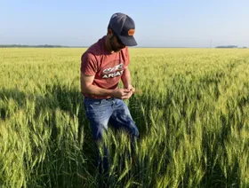 أحد مشتري الحبوب يتحقق من جودة المحاصيل في مقاطعة كاس بولاية نورث داكوتا، الولايات المتحدة - المصدر: بلومبرغ