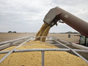 بيسنت: الصين تعهدت بشراء كميات كبيرة من فول الصويا الأميركي