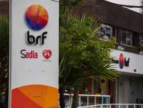 بعد خطوة \"سالك\" السعودية.. البرازيل تمنح الضوء الأخضر لاندماج \"مارفريغ-BRF\"