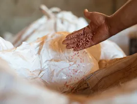 شخص يتفحص حبوب أسمدة داخل أكياس بلاستيكية - بلومبرغ