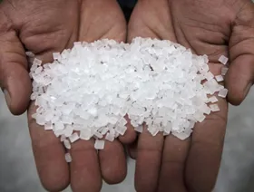 حبات من السكر الأبيض - المصدر: بلومبرغ