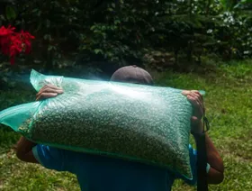 أسعار قهوة \"أرابيكا\" تحلق قرب ذروتها التاريخية على الإطلاق