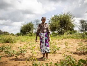 هكذا تتفوق الصين على الغرب في أفريقيا
