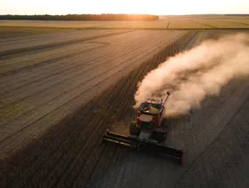 لتقليص العجز.. ترمب يطالب الصين بشراء 4 أضعاف شحنات فول الصويا