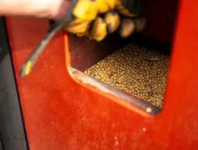 حبوب فول الصويا تخضع لفحص الجودة خلال موسم الحصاد في ولاية إلينوي، الولايات المتحدة الأميركية - بلومبرغ