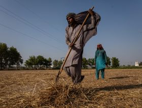 مزارعان يتفقدان أرضاً محصودة في باكستان - بلومبرغ