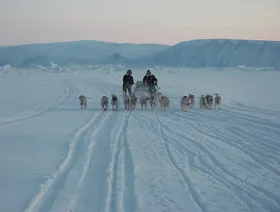 أزمة المناخ تفرض تهديدات وفرصاً على غرينلاند - Getty Images