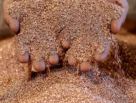 اضطرابات في تنزانيا تعرقل صادرات النحاس الأفريقية إلى الصين