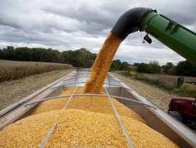 محاصيل الحبوب الأوكرانية معرضة للخطر بسبب تكدس الصوامع